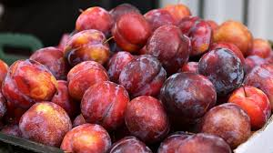 برقوق أحمر سوري شدة