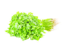 جلجلان ونعناع