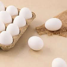 EGG WHIT INDIA