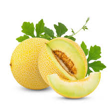 Sweet Melon Iran