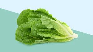Lettuce Green Iran
