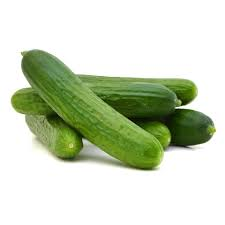 Cucumber Green Oman